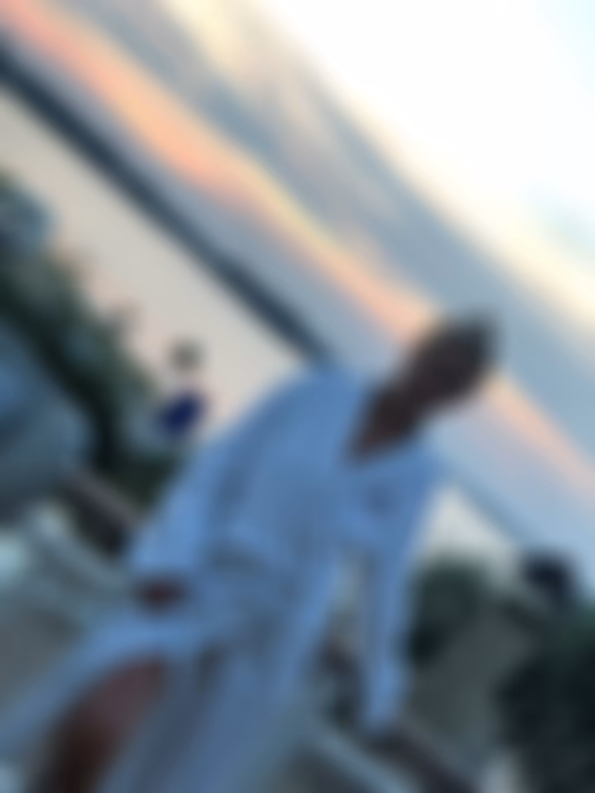 Detailed Profile Info