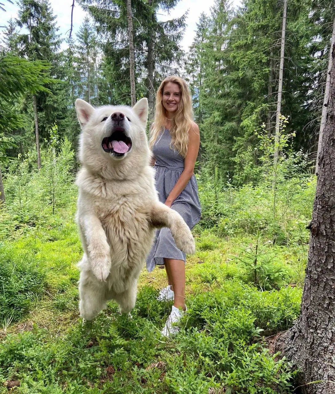 View Partner's Profile